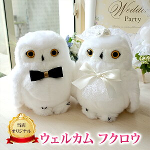 yj[AzEFJh[  tNE K^ ӂ낤 傫TCY(22cm) i 2̃Zbg  EFfBOh[ yA ʂ d jd j LO