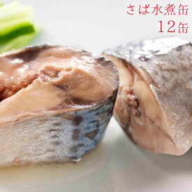 缶詰 魚 防災 鯖缶 水煮缶 12缶 セット 宝幸 HOKO サバ缶 日本のさば 鯖 さば サバ 水煮 12缶セット 缶詰め 缶づめ おつまみ ご挨拶 ご進物 手土産 内祝 ギフトセット 非常食 一品料理 災害 便利 おいしい 副菜 おかず