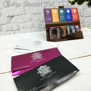 g eB[obO Mtg  zMtg A\[g George Steuart Tea ^ 5 A\[geB[obO W[WX`A[g A\[g eB[ ACXeB[ g  t[o[e