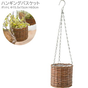 nMOoXPbg v^[  ݂艺  |bg L ݂蔫 11617 nMO Aؔ v^[ i`   | K[fjO nMO{bNX Jo[  ϗtA