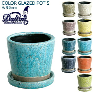 Aؔ  DULTON  _g J[ O[Yh |bg S6F t[|bg 9.5cm v^[ CH15-G527  󂯎Mt ƒ؉ K[fjO GNXeA  ֐ O  