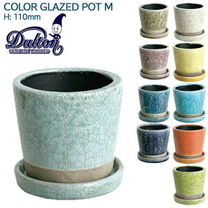 Aؔ    O  DULTON@_g  G K[fjO J[ |bg O[Yh t[|bg S6F 11cm CH13-G476 v^[ 󂯎Mt ƒ؉ GNXeA 