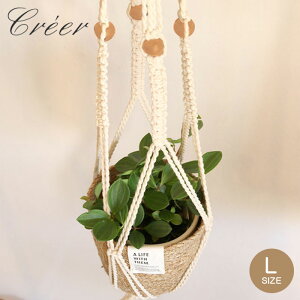 nMO  Aؔ }N nMO|bgNC L a12cm  ҂ }N҂ vgnK[ 艺 AؔJo[ ݂艺 Jo[ nMOv^[