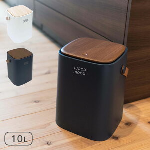 S~  ӂt 10bg WOOD MOOD t ݔ k 10L Vv ĊJ ^ RpNg y ݑ B S~ jIC L ΍ W t i`