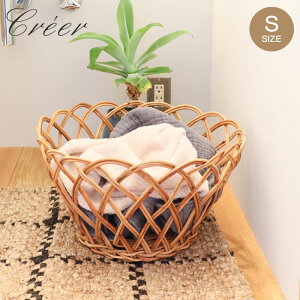  oXPbg AOۃoXPbgS [ JS 36cm t VRf nhCh AWAG [   [ ҂  rO   CeA 