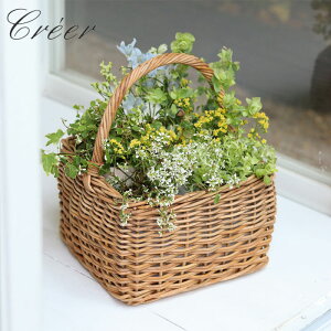 oXPbg t [ JS ^  AO O[oXPbg  XNGA 24cm VRf t AWAG nhCh [ `  [ ʕ ҂ 