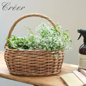 oXPbg t [ JS ^  AO O[oXPbg  I[o t AWAG VRf nhCh [   [ ʕ ҂  C