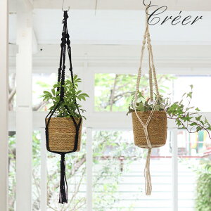 nMO  Aؔ }N nMO|bg [W a15cm  5 }N҂ vgnK[ ҂ AؔJo[ 艺 ݂艺 Jo[ nMOv^[