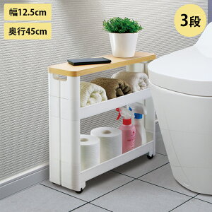 S X}[gS X LX^[t gC[ Ԏ[ 3i Tj^[ g s45cm 12.5cm Vt  [ Ԏ[  gCbN gC Tj^[[ Tj