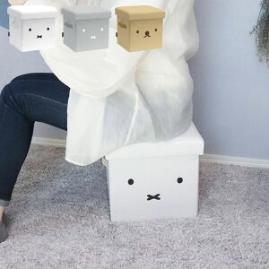 [{bNX ܂肽 z ~btB[ {X miffy Xc[{bNX t 킢 [łXc[ [ {bNX t^t Xc[ Ibg}  [Xc[ 