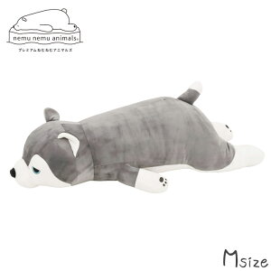  ʂ v~A  ˂ނ˂ Aj}Y ~g MTCY NbV    Ƃ Ck VxAnXL[ nXL[ Aj}  􂦂  킢