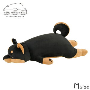  ʂ v~A  ˂ނ˂ Aj}Y Rec MTCY NbV    Ƃ Ck Č  Aj}  􂦂  킢