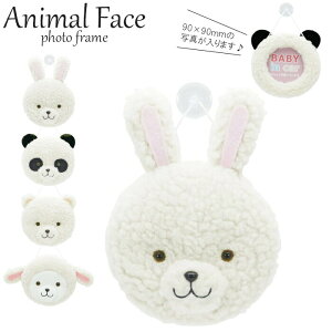 tHgt[  ʐ^ tHgP[X z  킢 Aj}tFCX S4  K647 oYj ʂ v[g Aj} Ђ  p_ 