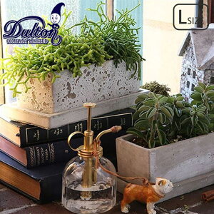 DULTON _g v^[ \bh N^u LTCY A555-426L Aؔ |pi  RN[g      O  CeA RpNg ꌊ Mt