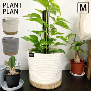 Jo[  6 5 z   v^[Jo[ [v M v^[ ~` |bgJo[ ^ n ϗtA A   [   rj[