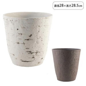 Aؔ Jo[ v^[ FR~|bgT_Ebh vX`bN vg|bg Ap|bg Ԋ AؔJo[  A | zCG CeA