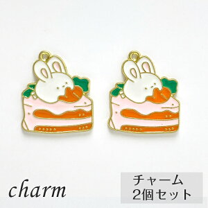 P[Lɂ̂@`[ 2Zbg ETM ɂ񂶂 nhCh ANZT[p[c t@V[