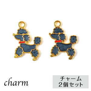 v[h ubN `[ 2Zbg nhCh ANZT[p[c  Ck