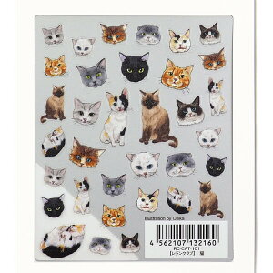 Resin club(WNu) Lyʁz˂ cat WV[ WV[