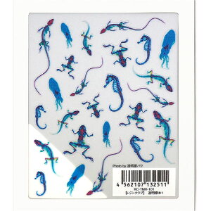 Resin club(���W���N���u)�����W�{1�y���ʁz���W���V�[�� ঒��� �N���Q ������ �A�N�A���E��