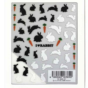 Resin club(WNu) VGbgyʁzWV[