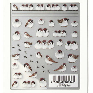 Resin club(WNu) ߁yʁzWV[ XY 