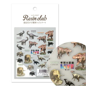 Resin club(WNu) w̐}LIVE yʁz