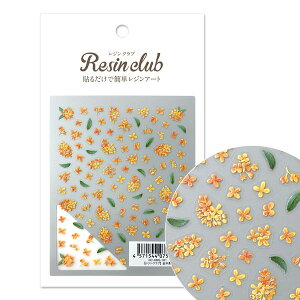 Resin club(WNu) ؍ҁyʁzWV[ LNZC