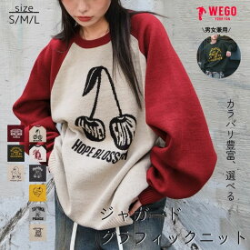 ＼20％OFFクーポン利用で2400円／【SALE 3299円→2999円】ジャガードグラフィックプルオーバー ニット セーター レディース メンズ トップス 長袖 ロゴ カレッジロゴ 古着風 ペアルック 男女兼用 ゆったり かわいい 秋冬 秋服 WEGO