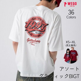 【SALE 2199円→1999円】26夏新作 アソートグラフィックBIGT Tシャツ メンズ 半袖 トップス ゆったり バックプリント ロゴ 春 夏 綿100% カジュアル 大きいサイズ レディース 男女兼用 WEGO ウィゴー