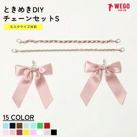 【SALE 1099円→990円】ときめきDIYチェーンセットS 痛バッグ 痛バ アレンジ リボン チェーン デコ セット 推し活グッズ 推し事 メンカラ WEGO ウィゴー
