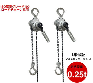 2 NEW A~ o[zCXg 0.25t 1.5m O[h100`F[ 0.25ton 250kg ^ yʃo[zCXg `F[zCXg 蓮 ג@ `F[[[ MINI p[zCXg `F[ub