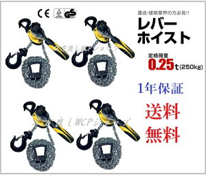 V^Vy1Nۏ؁zOǂ 2F o[zCXg 250kg 0.25ton 4Zbg`F[zCXg 蓮 ג@mג גߋ@ zCXg`F[[[ `F[Kb` `F[ubN 