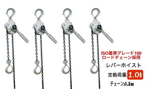 4 NEW A~ o[zCXg 1.0t 1.5m O[h100`F[ 1.0ton 1000kg ^yʃo[zCXg `F[zCXg 蓮 ג@ `F[[[ MINI p[zCXg `F[ub