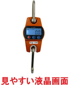 yyΉzOǂ N[XP[ 100kg RpNgfW^݂͂ dr ݂͂  ݔ ݂͂ mfW^݂͂ ݂蔉 fW^ N[ XP[ v