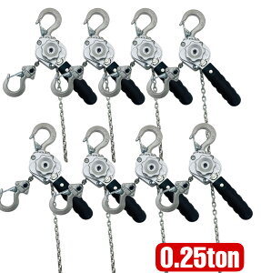 A~| o[zCXg 0.25t 0.25ton 250kg  `FbgzCXg ^ yʎo[zCXg `F[zCXg 蓮 ג@ `F[[[ i `F[ubN o[