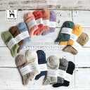 【5％OFFクーポン配布中】French Bull フレンチブル レディース シャインソックス[No.01-0061/01-0071]全17色 春夏 リネン 麻 無地 冷え取り 汗取り 日本製【追跡メール便送料無料】