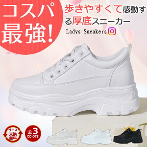 7cmbSNSlC艿i7,596~3,580~yV1 Xj[J[ fB[X _bhXj[J[ lC fB[XV[Y ؍ V[Y gAbv y  ʊwC ʋΌC r 