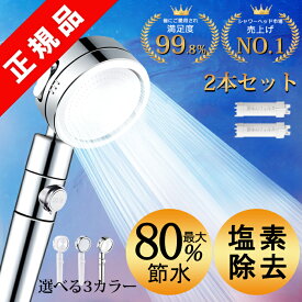 ★スーパーセール限定74％OFFで2500円★楽天1位 あす楽 シャワーヘッド 節水 シャワー 増圧 節水シャワーヘッド 塩素除去 水流調整 水圧アップ マイクロナノバブル シャワーフック お風呂 バスグッズ マイクロバブル スライド 手元止水 高水圧 低水圧用 止水ボタン