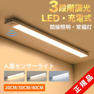 Z[32%OFF1880~ZT[Cg  lZT[Cg LED 3iKF iK ^ LEDZT[Cg Type-C[d 20cm 30cm 40cm x tbgCg  퓔  }O