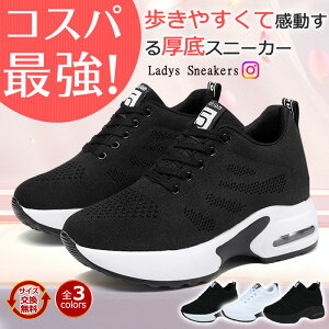 yZ[Ԍ7,800~3,480~z Xj[J[ fB[X V[NbgV[Y Cq[Xj[J[ _CGbgXj[J[ C y ₷ ɂ _bhXj[J[ 