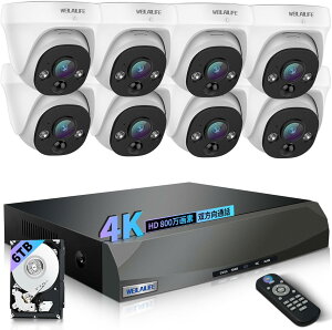【4K800万画素・ 双方向通話】 WEILAILIFEドーム型 有線 poe 防犯カメラセットランキング 有線 防犯カメラ 屋内 屋外防犯カメラセット poe給電 監視カメラ・録画機セット
