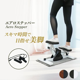 【スーパーSALE価格】エアロステッパー ステッパー ツイスト 静音 ダイエット 有酸素運動 足踏み ステップ台 室内運動 器具 室内 エクササイズ 器具 踏み台昇降 コンパクト 脂肪燃焼 骨盤 姿勢 改善 ウォーキング ルームバイク 筋トレ 体幹 ひねり くびれ コア お腹