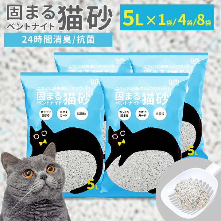 楽天市場】【10%OFFクーポン配布中】【公式】＼リピーター続出！／ 猫 