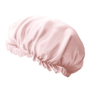 iCgLbv VN100 Silk100 Ch ƕێ 炳wA 鉐 牐   wAPA e } ؂ _[WPA [Lbv [EFA AQpXq 