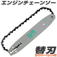 チェンソー用 替刃 交換刃 ガイドバー10インチ（約25cm）付き [替刃 10インチ チェーンソー 部品]
