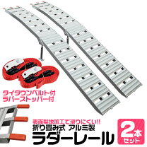 楽天市場】2つ折アーチランプ ラダーの通販