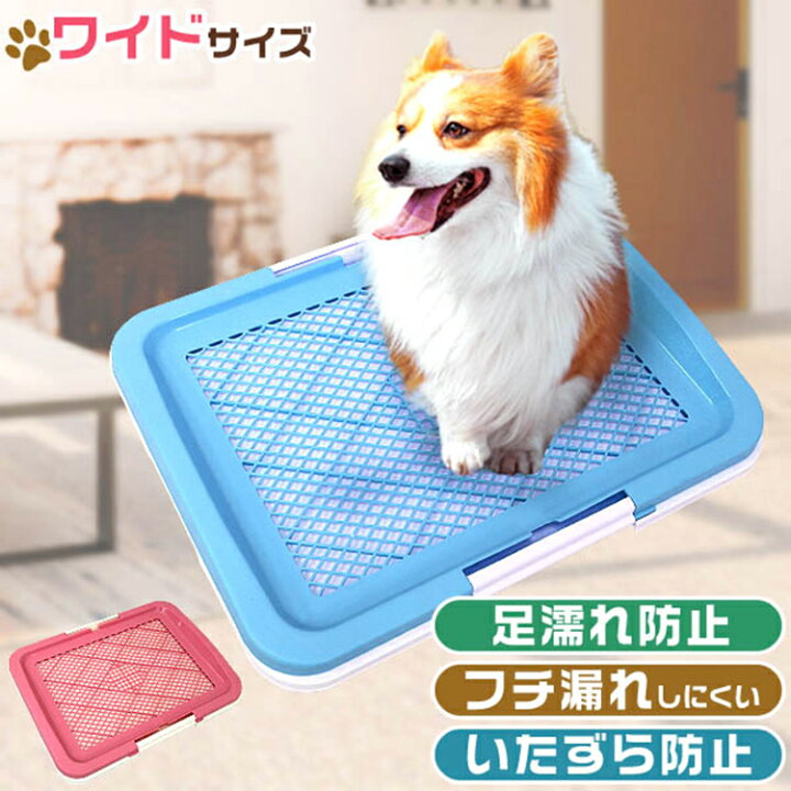 楽天市場 犬 トイレ トレー 犬用トイレ トイレトレー ワイドサイズ いたずら防止 フチ漏れ防止 小型犬 中型犬 犬 ドッグ トイレ容器 トレー メッシュ しつけ用ステップトレー しつけ 室内 ペット用品 トイレ用品 オス メス Weimall楽天市場店