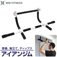 アイアンジム 懸垂 マシーン 室内 懸垂器具 自宅 筋トレ 筋肉 トレーニング 腹筋 背筋 腕立て伏せ けんす…