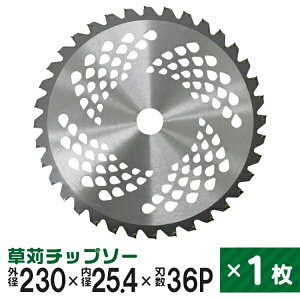 y10%OFFN[|zzz@p `bv\[  n @ @ ւn `bv\[ 230mm×36P  p n @  ֐n  ֐n   @ i